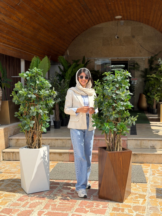 درختچه مصنوعی بونسای تنه طبیعی ارتفاع۱۲۰