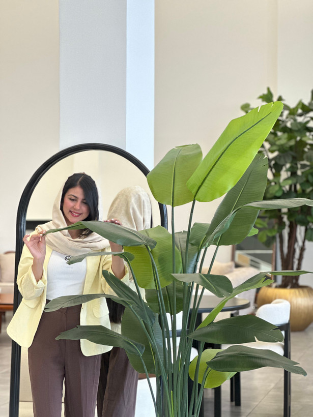 درختچه پرنده بهشتی 20 برگ